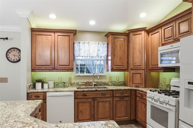 9505 SE 171ST ARGYLL STREET, The Villages, FL 32162