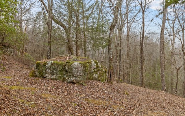 9963 Huckleberry Lane, Soddy Daisy, TN 37379