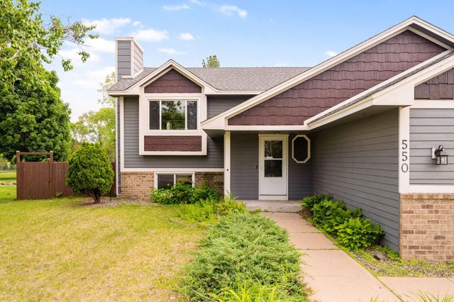 550 Mckinley Street, Anoka, MN 55303