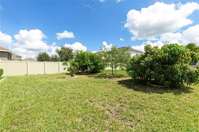 240 TRINITY RIDGE CIRCLE, Davenport, FL 33897