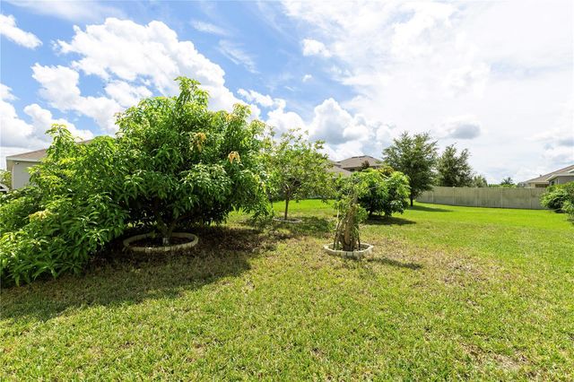 240 TRINITY RIDGE CIRCLE, Davenport, FL 33897