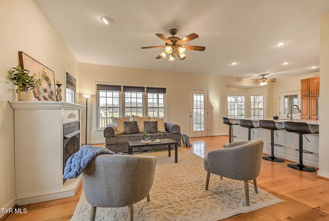 308 Roy Martin Road, Gray, TN 37615