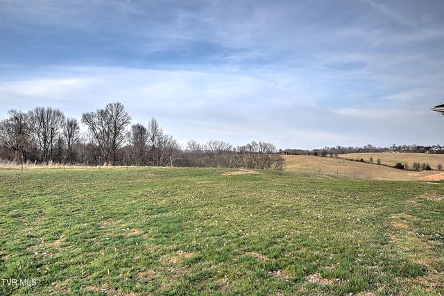 308 Roy Martin Road, Gray, TN 37615