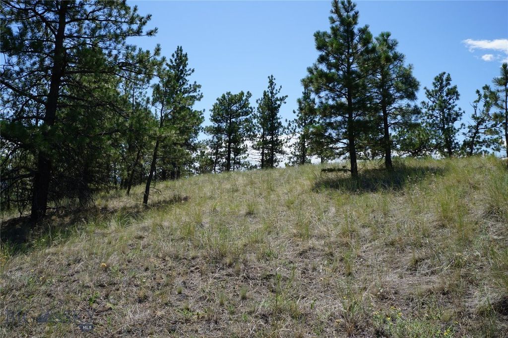 558 Dearborn River Road, Cascade, MT 59421 photo 10