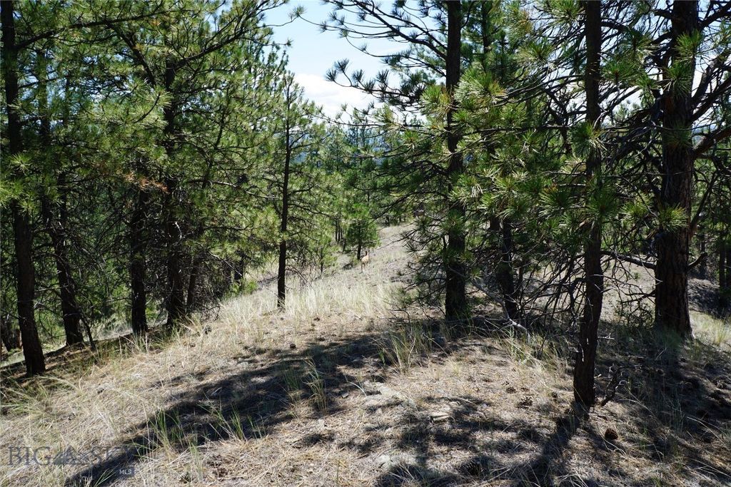 558 Dearborn River Road, Cascade, MT 59421 photo 11