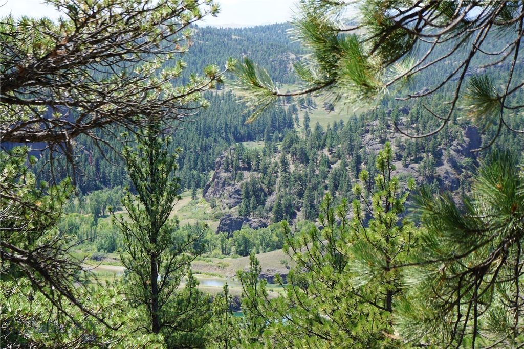 558 Dearborn River Road, Cascade, MT 59421 photo 12