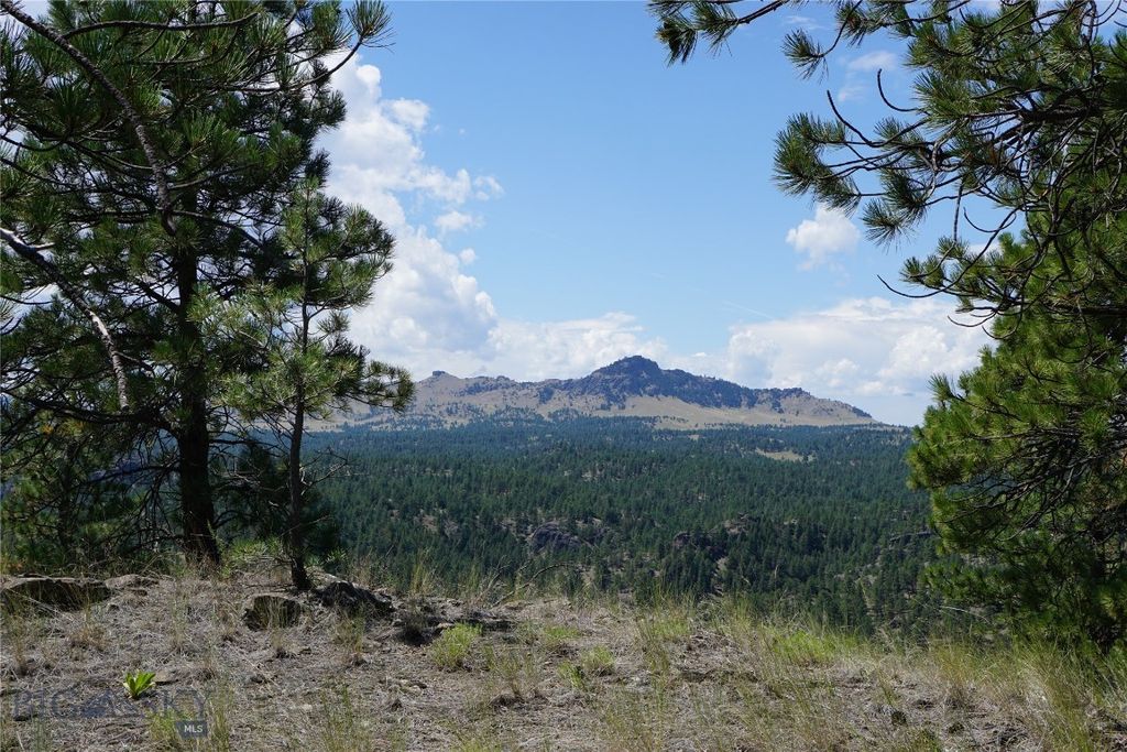 558 Dearborn River Road, Cascade, MT 59421 photo 15