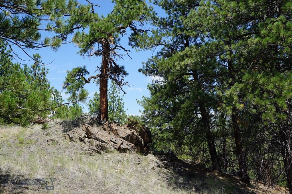 558 Dearborn River Road, Cascade, MT 59421 photo 16