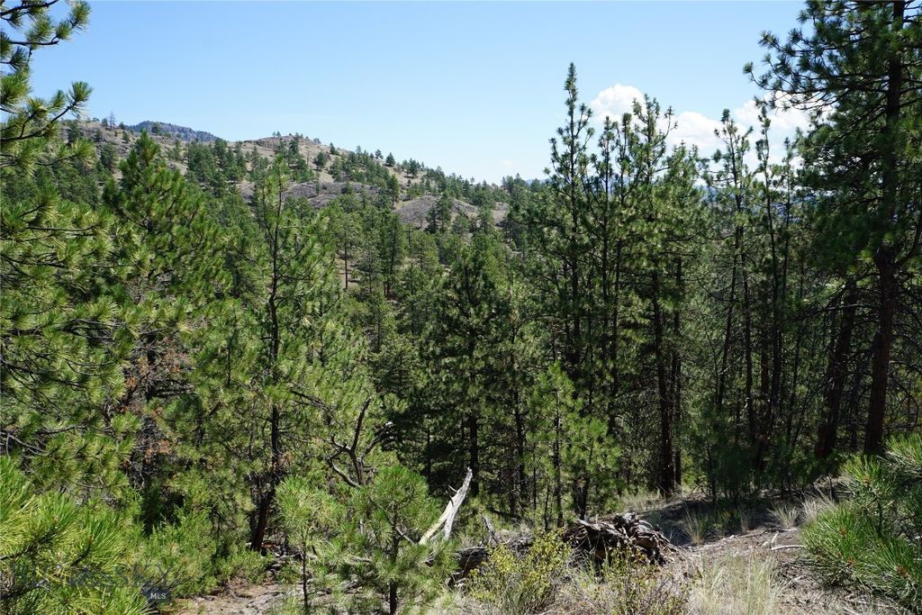 558 Dearborn River Road, Cascade, MT 59421 photo 17