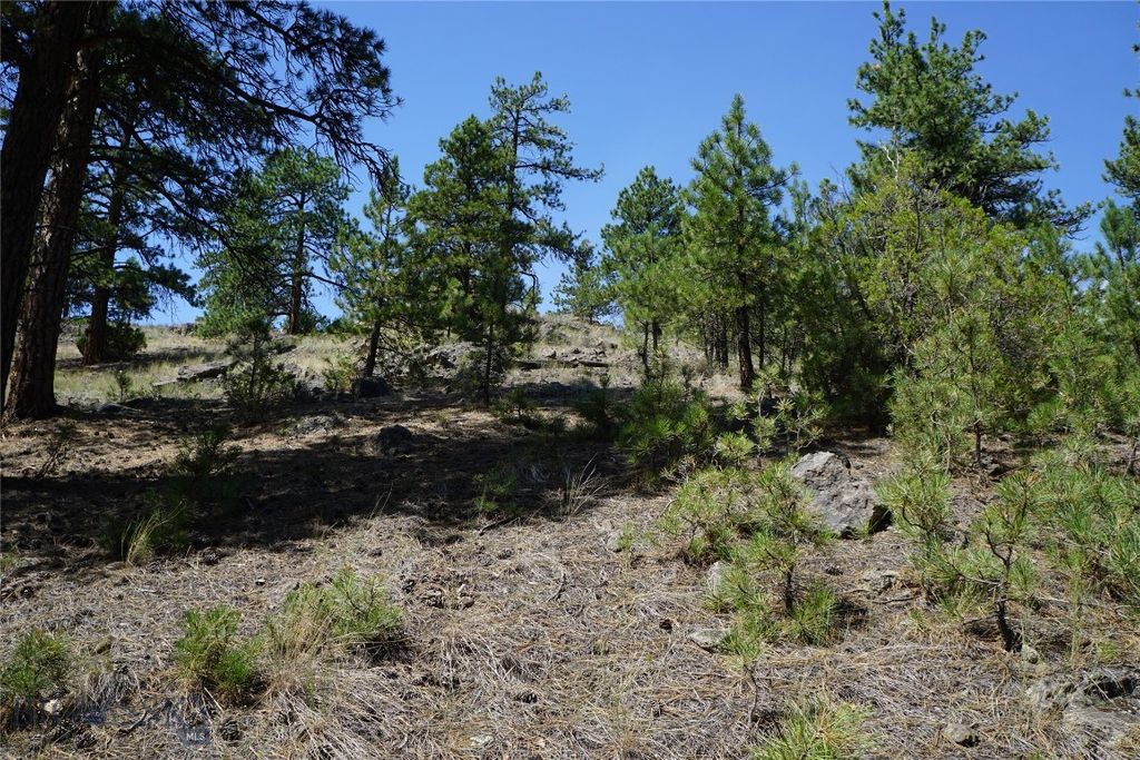 558 Dearborn River Road, Cascade, MT 59421 photo 26