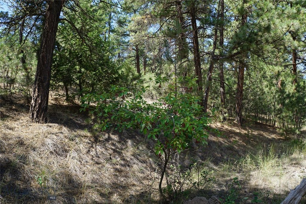 558 Dearborn River Road, Cascade, MT 59421 photo 27