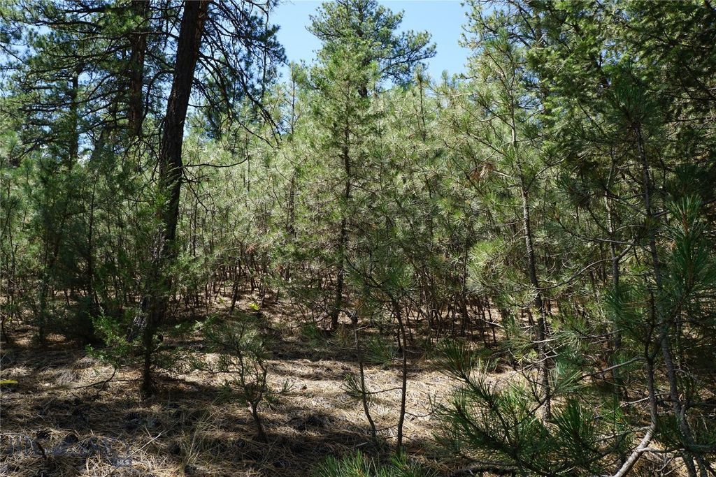 558 Dearborn River Road, Cascade, MT 59421 photo 28