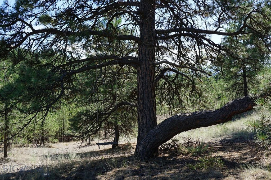 558 Dearborn River Road, Cascade, MT 59421 photo 3