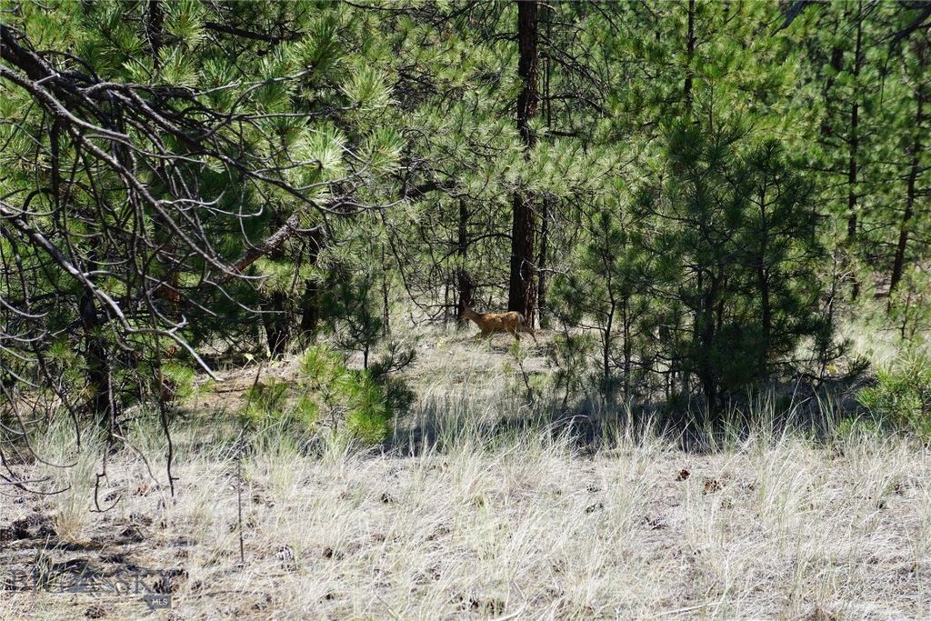 558 Dearborn River Road, Cascade, MT 59421 photo 30