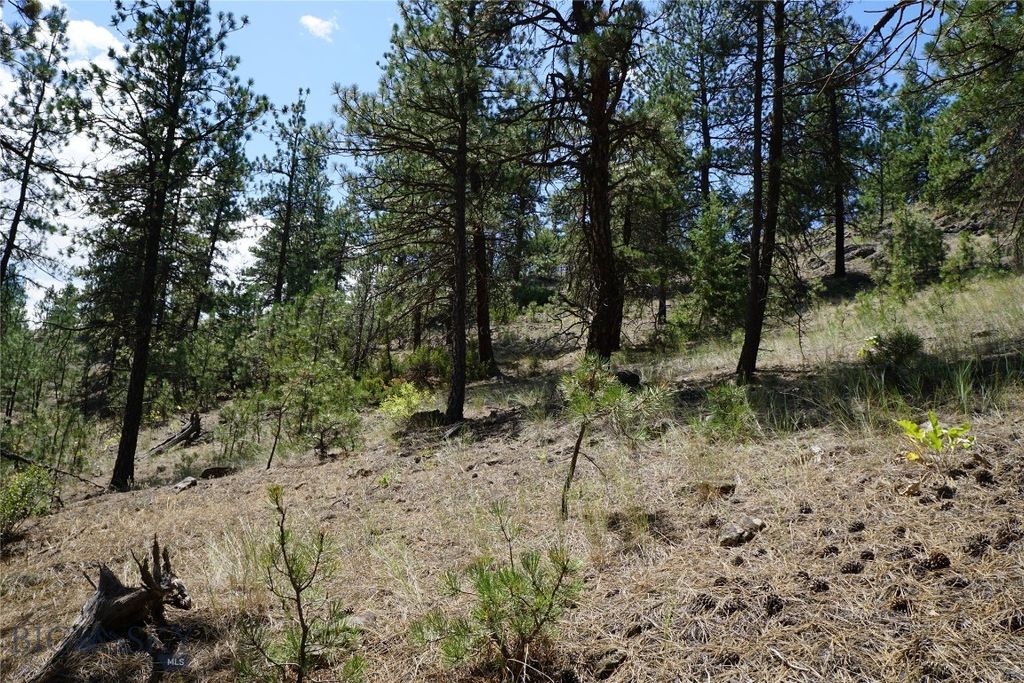 558 Dearborn River Road, Cascade, MT 59421 photo 31