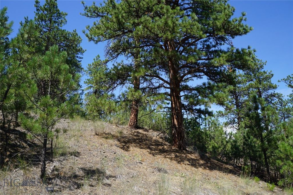 558 Dearborn River Road, Cascade, MT 59421 photo 32