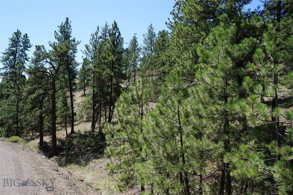 558 Dearborn River Road, Cascade, MT 59421 photo 33