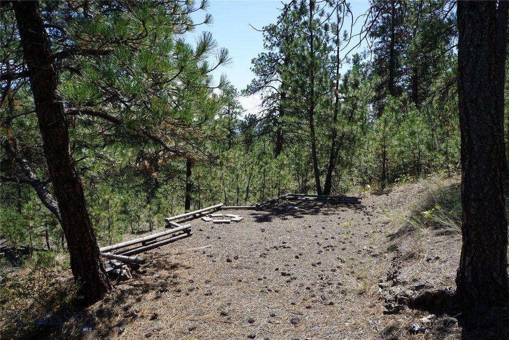 558 Dearborn River Road, Cascade, MT 59421 photo 5