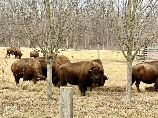 413 E New York Street, Fortville, IN 46040