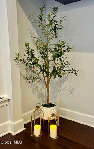 5 Spring APT 101, Saratoga Springs, NY 12866