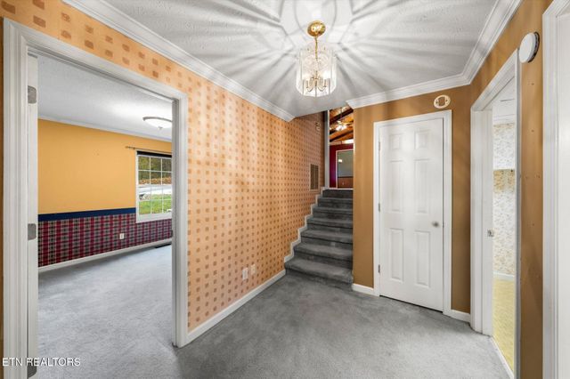 609 Stephens Rd, Rocky Top, TN 37769