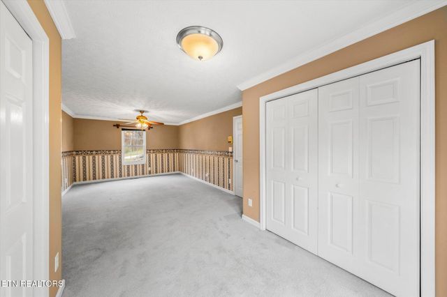 609 Stephens Rd, Rocky Top, TN 37769