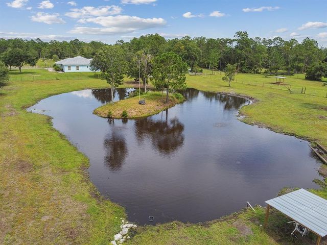 19315 LAKE PICKETT ROAD, Orlando, FL 32820