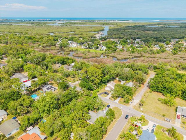BROOKLINE AVENUE, New Smyrna Beach, FL 32168
