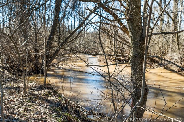 23341 40th Avenue, Chester Twp, MI 49451