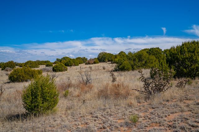 Two Lots Crazy Rabbit, Santa Fe, NM 87508
