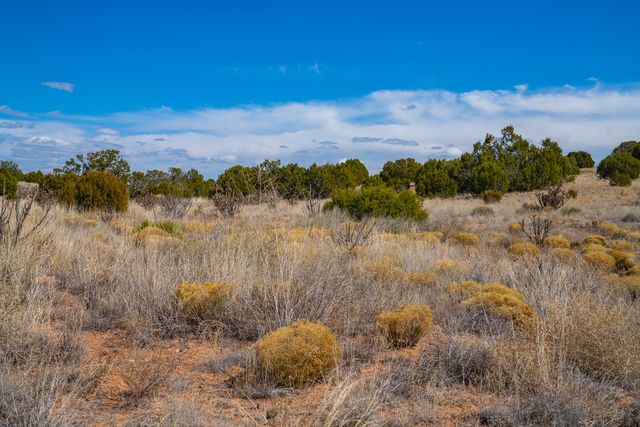 Two Lots Crazy Rabbit, Santa Fe, NM 87508