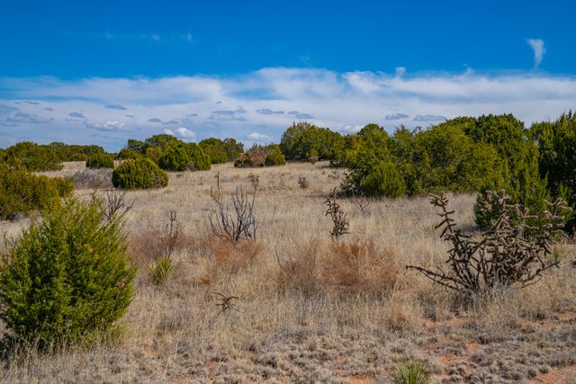Two Lots Crazy Rabbit, Santa Fe, NM 87508