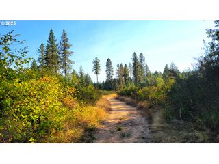 E Hunter Rd 602E, Veneta, OR 97487