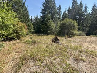 Canyon Rd, Lyle, WA 98635