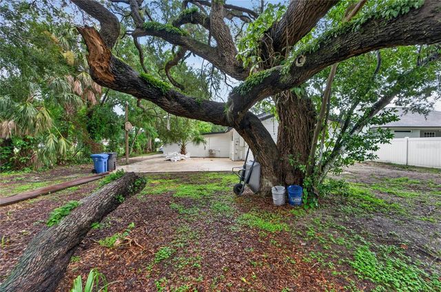 8809 DYER ROAD, Riverview, FL 33578