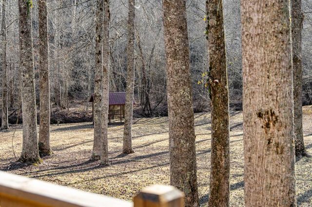 198 Pine Knot Lane, Mineral Bluff, GA 30559