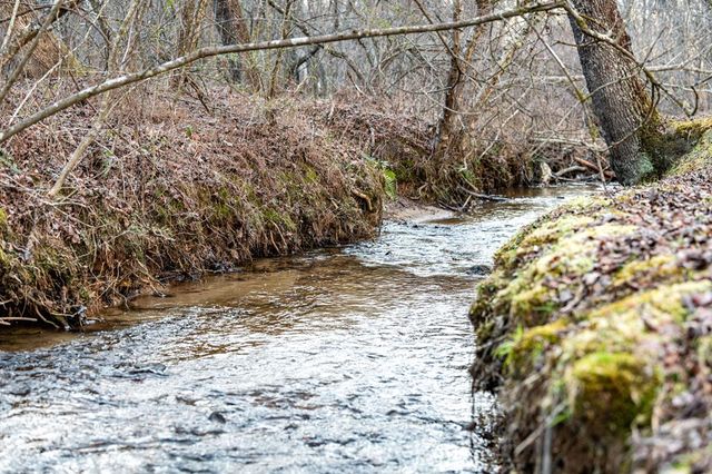 198 Pine Knot Lane, Mineral Bluff, GA 30559