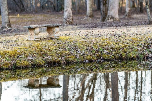 198 Pine Knot Lane, Mineral Bluff, GA 30559