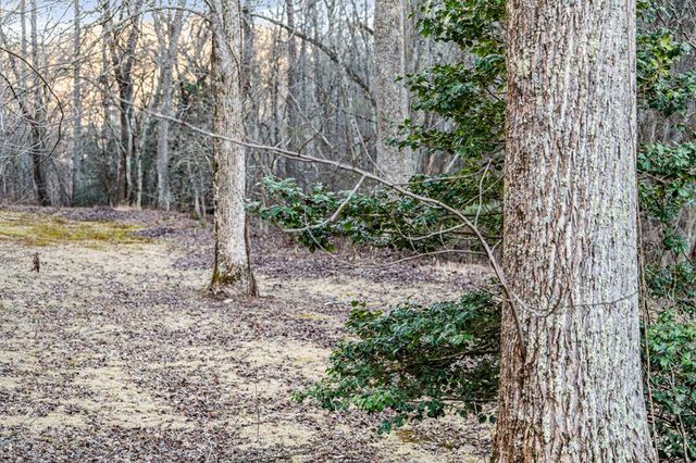 198 Pine Knot Lane, Mineral Bluff, GA 30559