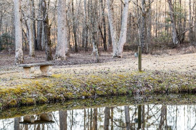 198 Pine Knot Lane, Mineral Bluff, GA 30559