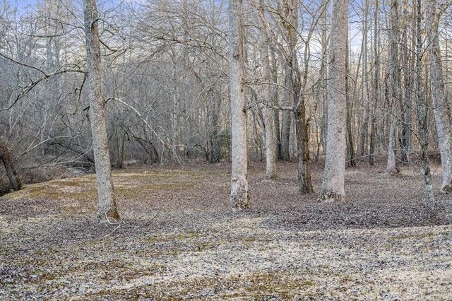 198 Pine Knot Lane, Mineral Bluff, GA 30559