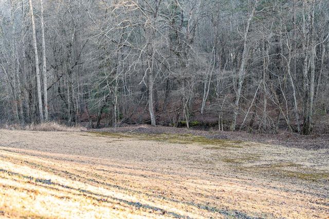 198 Pine Knot Lane, Mineral Bluff, GA 30559