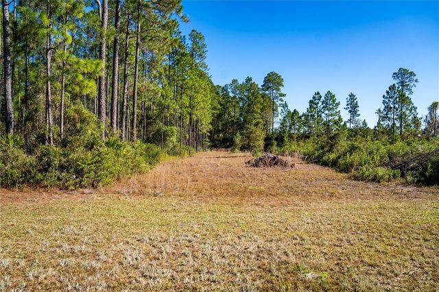 101 THYME DRIVE, Interlachen, FL 32148