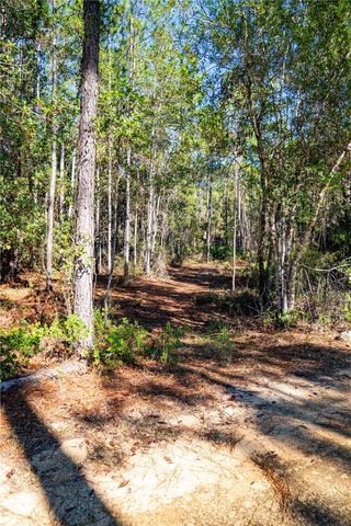 101 THYME DRIVE, Interlachen, FL 32148