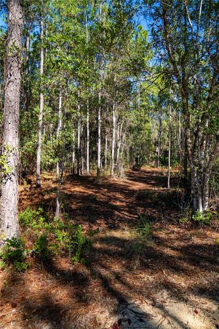 101 THYME DRIVE, Interlachen, FL 32148