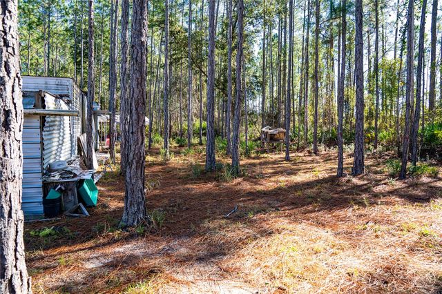 101 THYME DRIVE, Interlachen, FL 32148