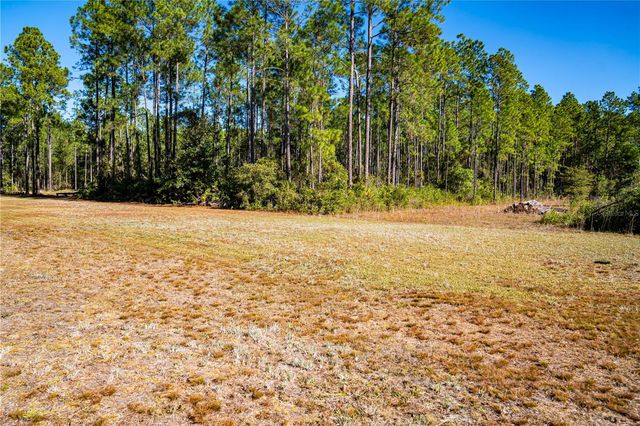 101 THYME DRIVE, Interlachen, FL 32148