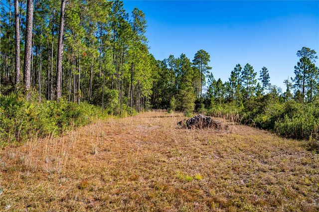 101 THYME DRIVE, Interlachen, FL 32148