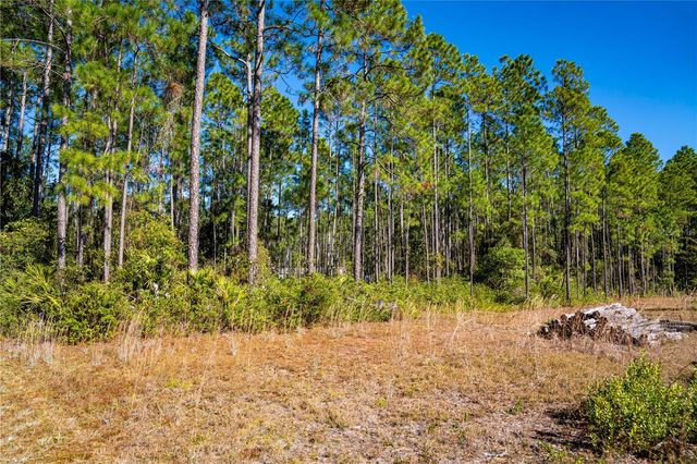 101 THYME DRIVE, Interlachen, FL 32148