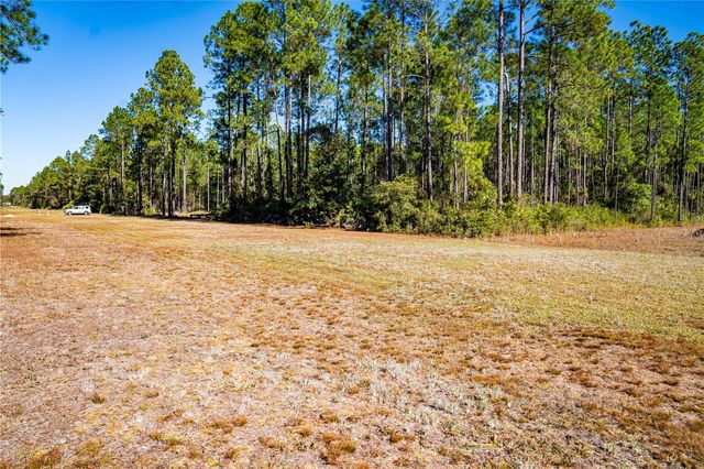 101 THYME DRIVE, Interlachen, FL 32148